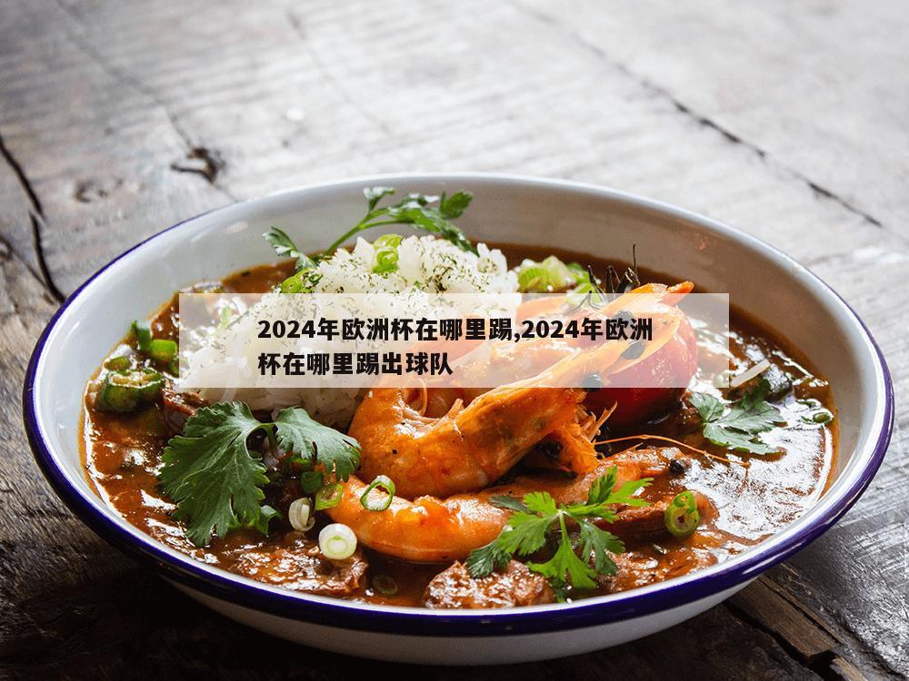 2024年欧洲杯在哪里踢,2024年欧洲杯在哪里踢出球队