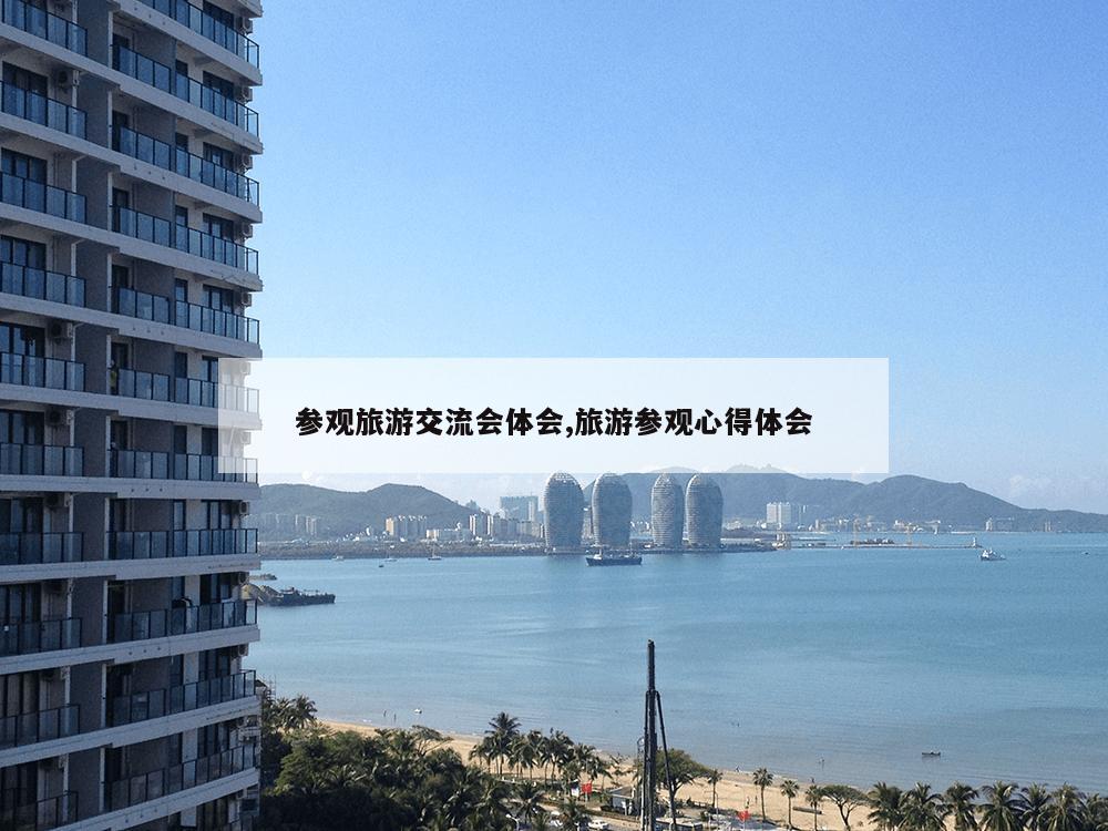 参观旅游交流会体会,旅游参观心得体会