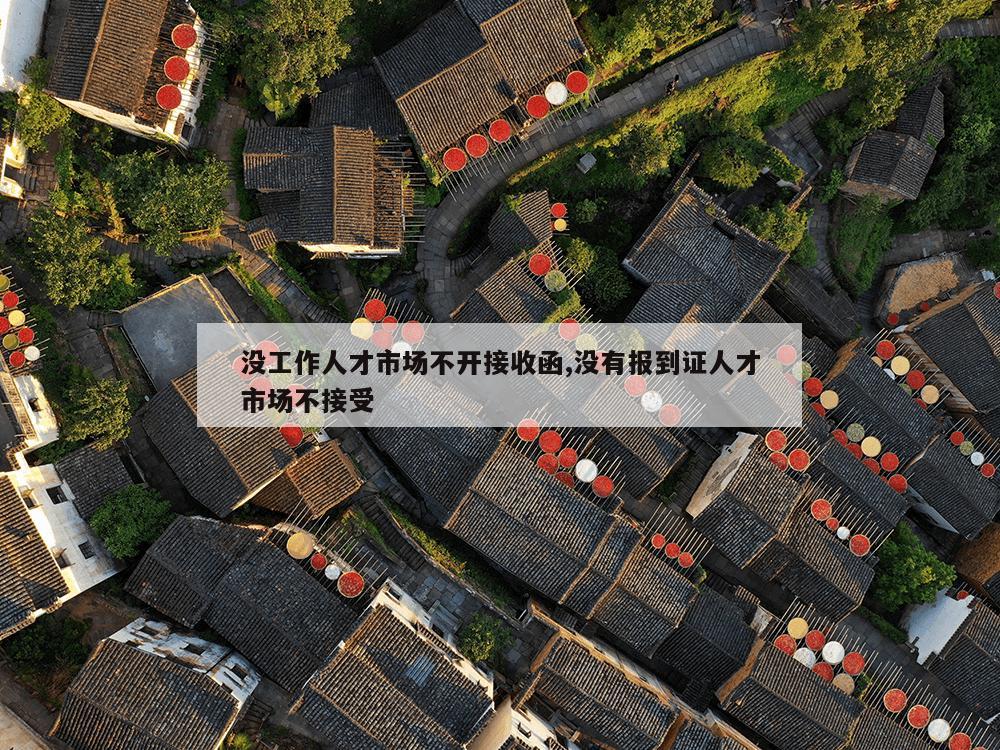 没工作人才市场不开接收函,没有报到证人才市场不接受