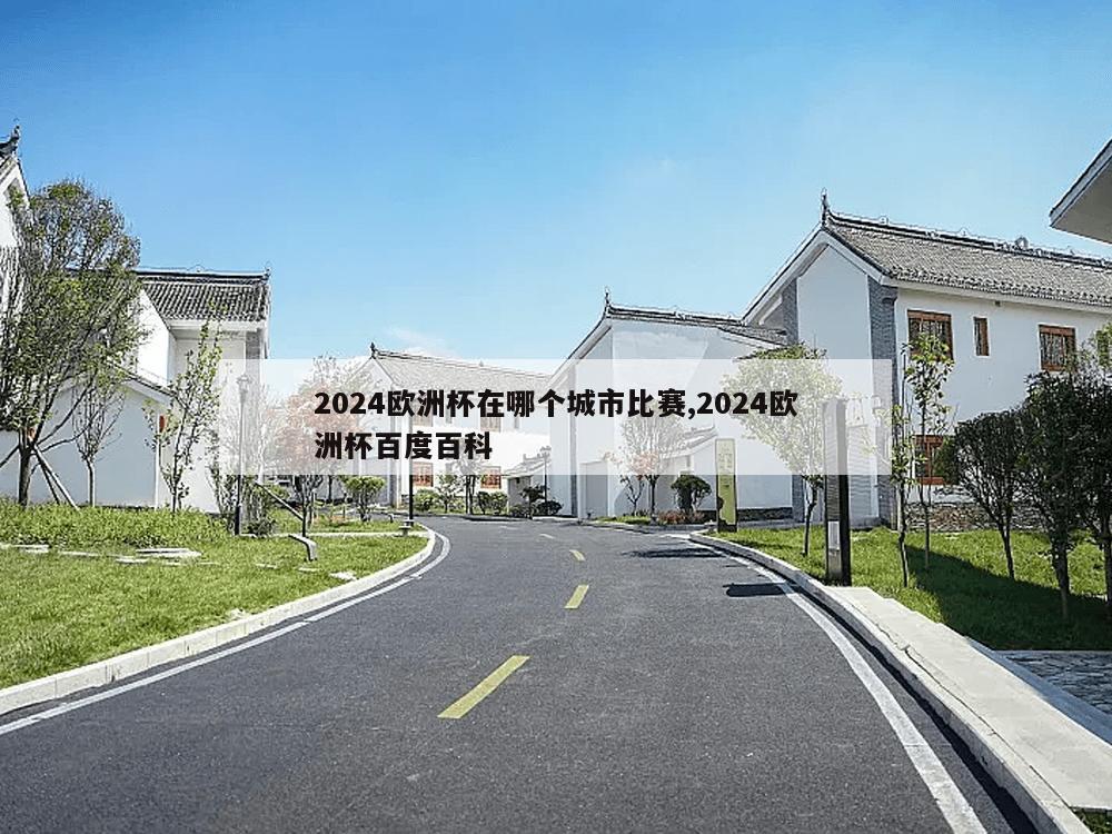 2024欧洲杯在哪个城市比赛,2024欧洲杯百度百科