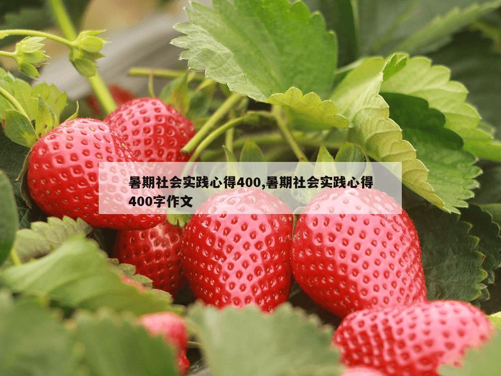 暑期社会实践心得400,暑期社会实践心得400字作文