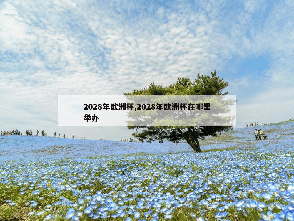 2028年欧洲杯,2028年欧洲杯在哪里举办