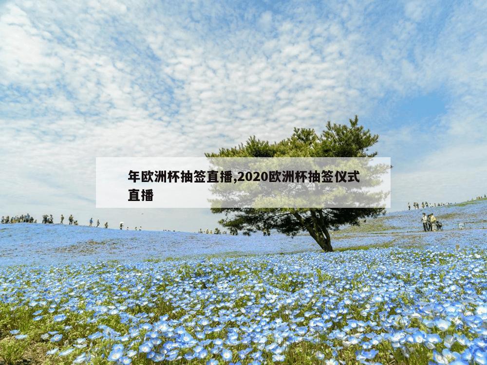 年欧洲杯抽签直播,2020欧洲杯抽签仪式直播