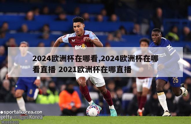 2024欧洲杯在哪看,2024欧洲杯在哪看直播 2021欧洲杯在哪直播