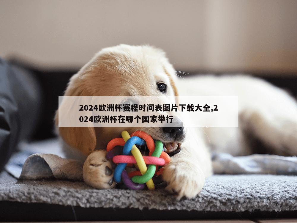 2024欧洲杯赛程时间表图片下载大全,2024欧洲杯在哪个国家举行