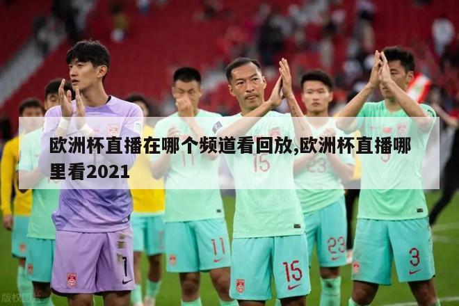 欧洲杯直播在哪个频道看回放,欧洲杯直播哪里看2021